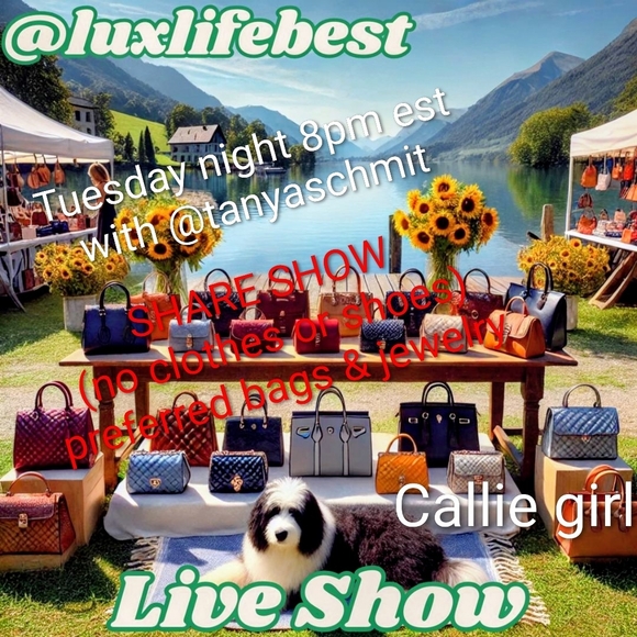 liveshowonly Handbags - Elegant Orange Satchel Bag